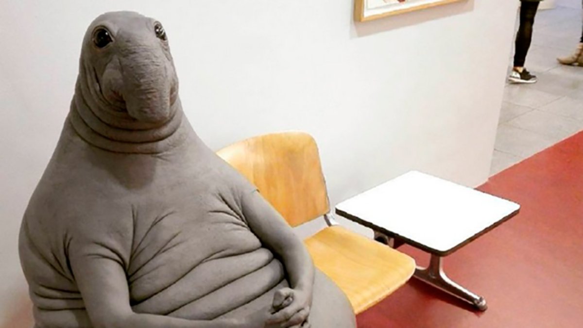 Ждун Вольдемар