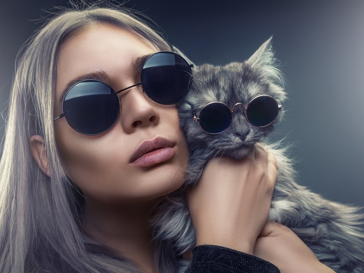 Кот в очках