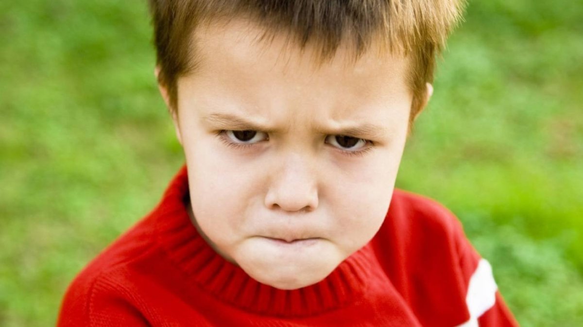 Агрессивный школьник