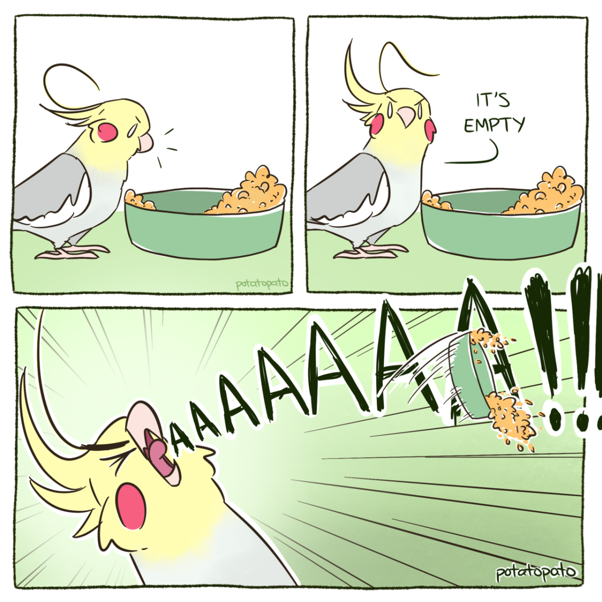 Комиксы про попугаев