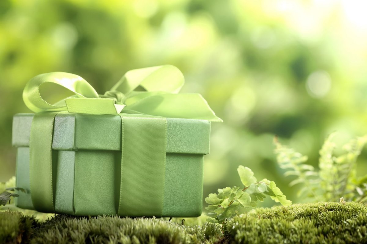 Красивый зеленый подарок