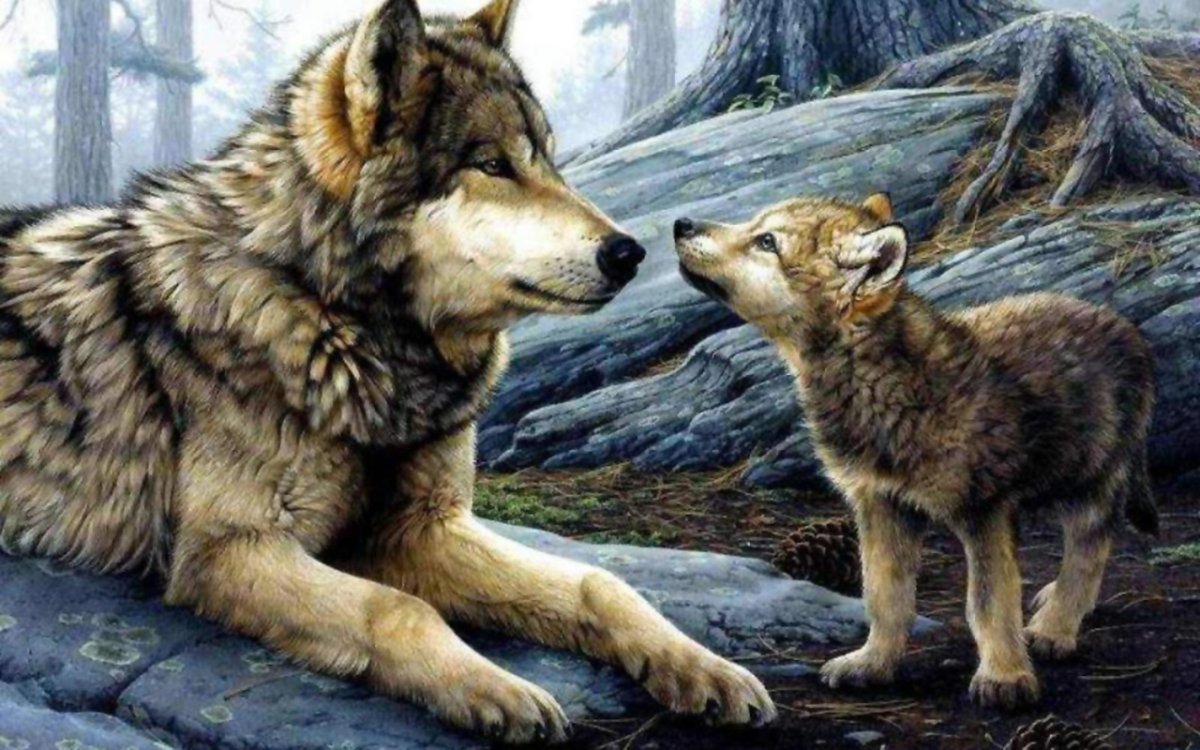 Волчонок с голубыми глазами