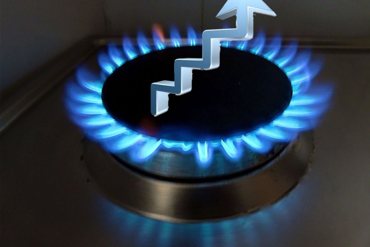 Газовая каморка вектор