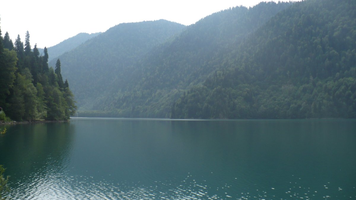 Природа Абхазии Пицунда