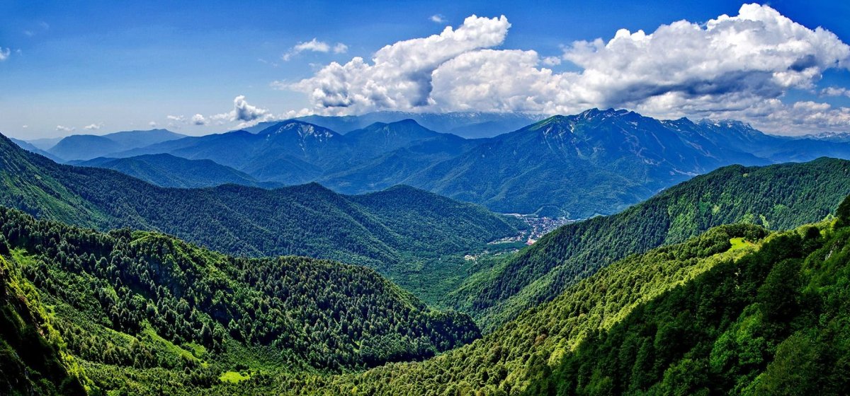 Абхазия Ташкент