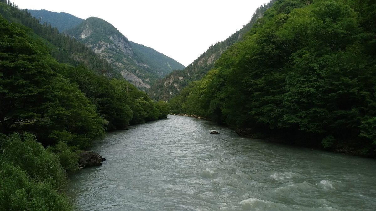 Черное море Туапсе