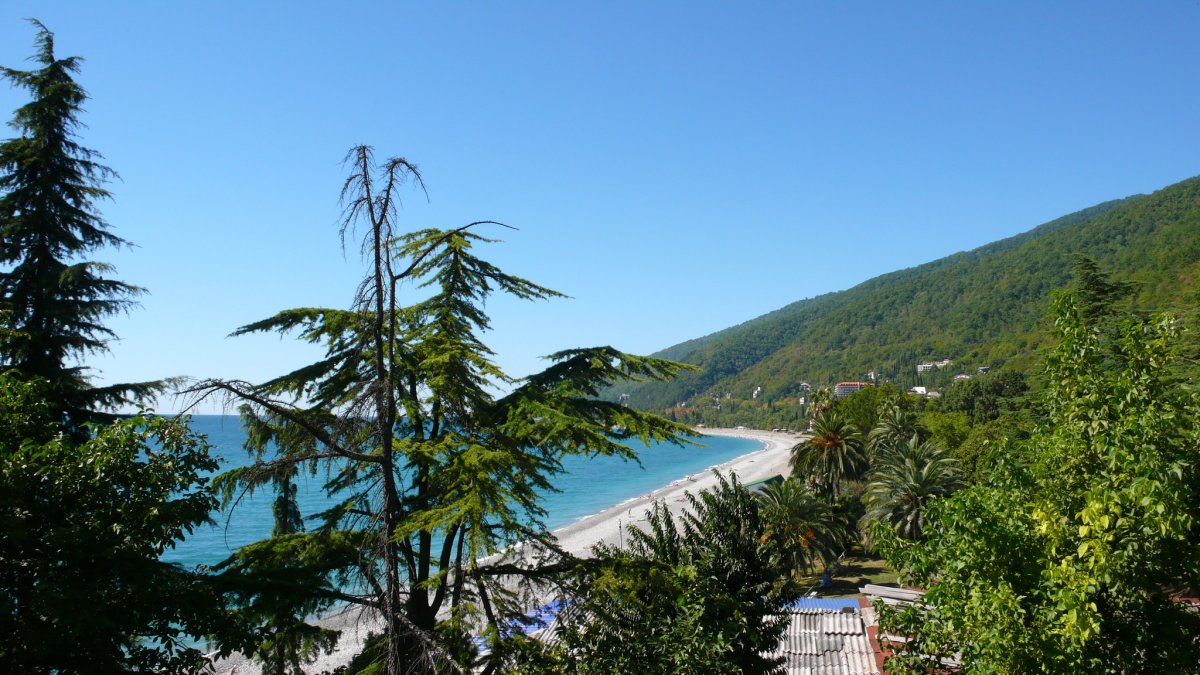 Абхазия озеро Рица туристы