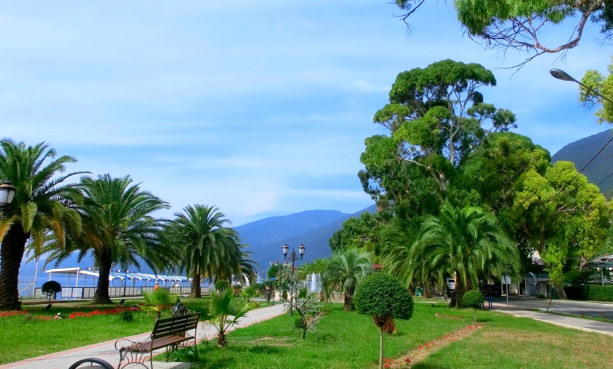 Абхазия фонтан Сухум