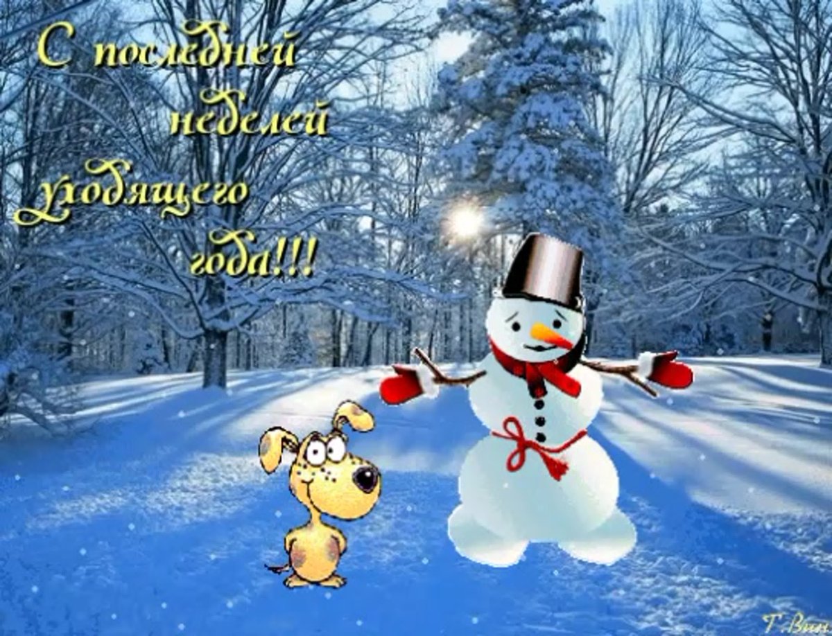 С последней неделей уходящего года