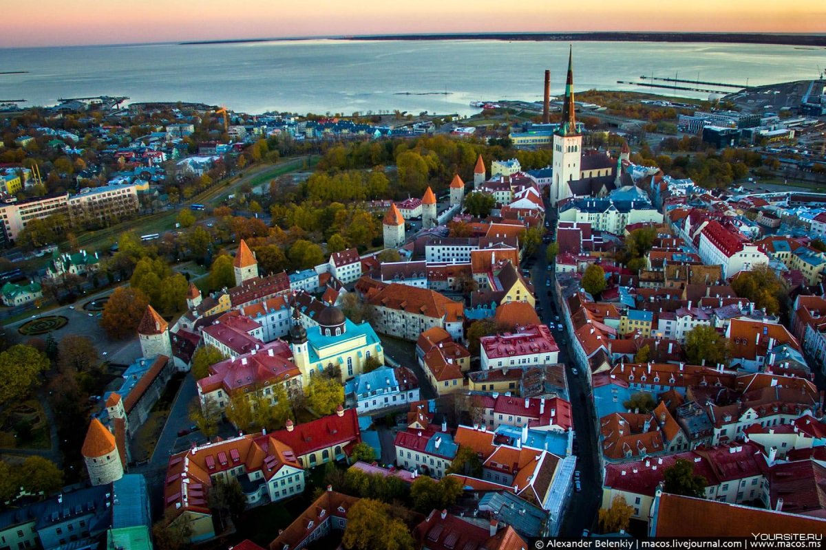 Эстония город Таллин 2020