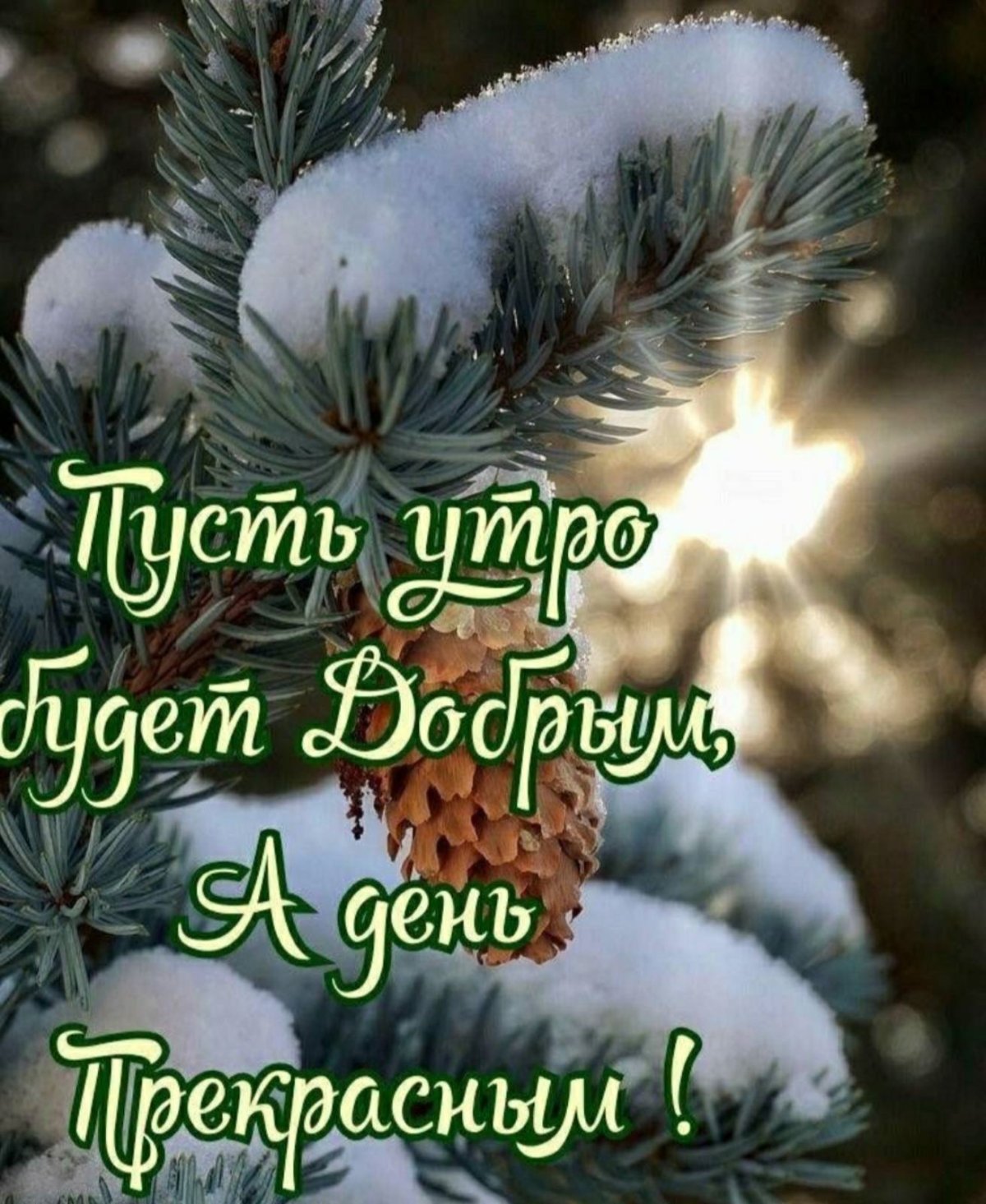 Доброго январского дня