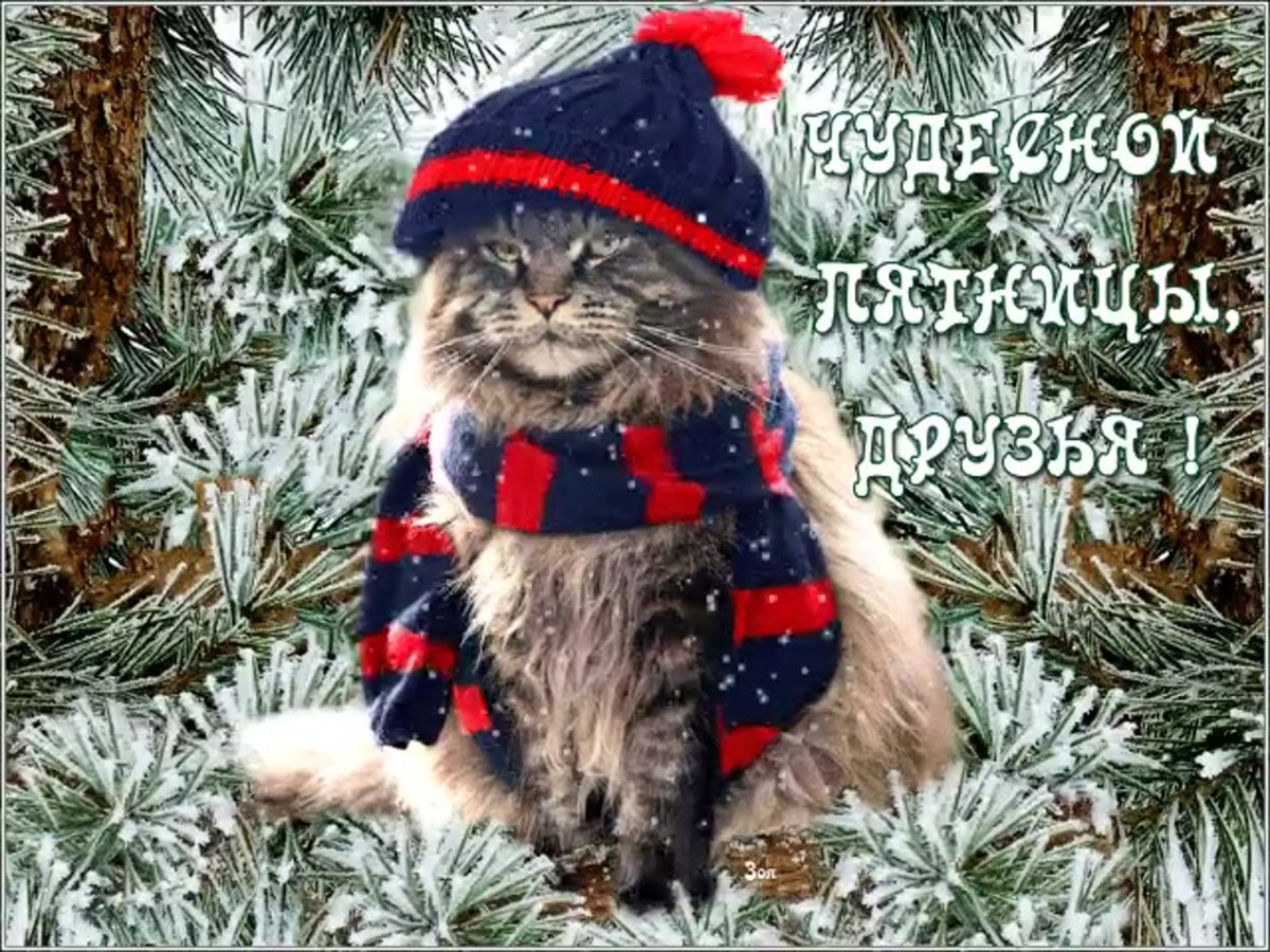 Доброе утро картинки зимние