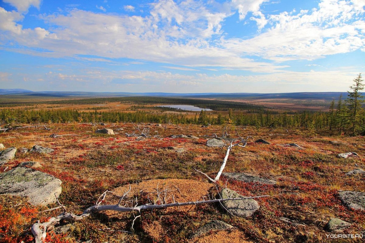 Ненцы Ненецкий автономный округ