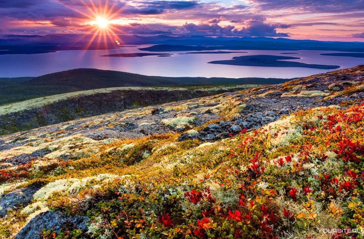 Зона тундры и лесотундры в Канаде