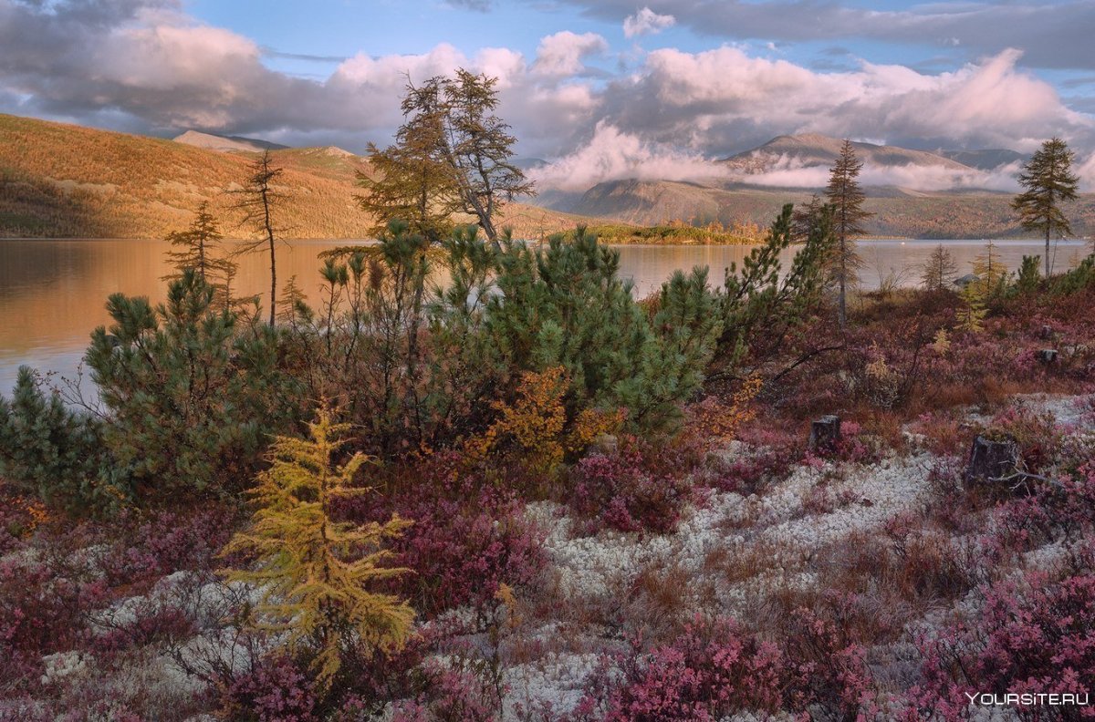 Большеземельская тундра