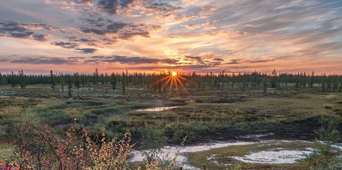 Колымская тундра