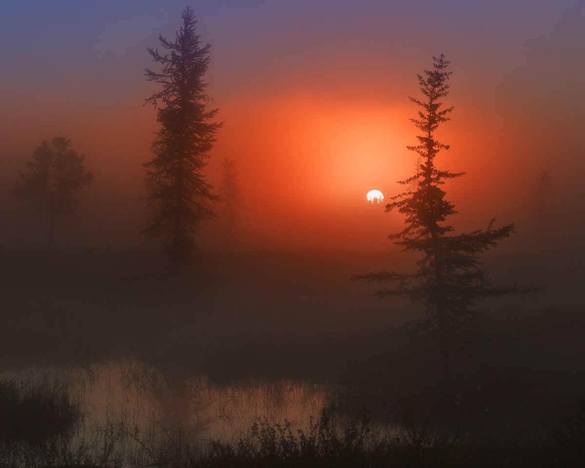 Национальный парк Денали