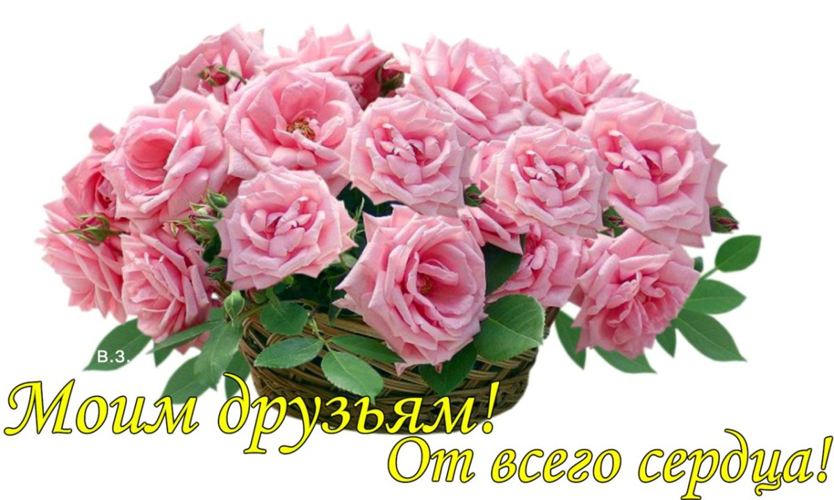 Розы с пожеланием здоровья