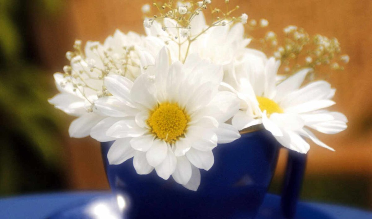 Пожелания счастья в стихах красивые