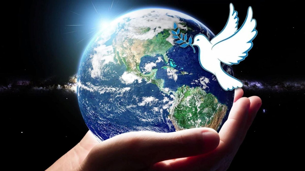 Мир без террора голубь