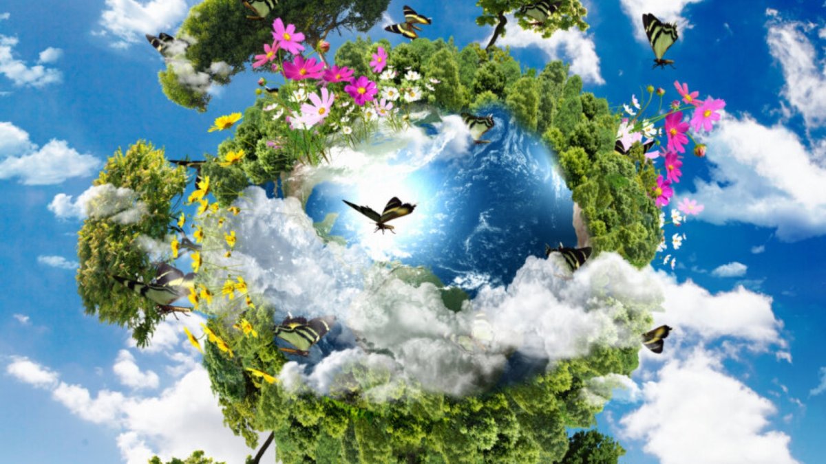 Защита природы