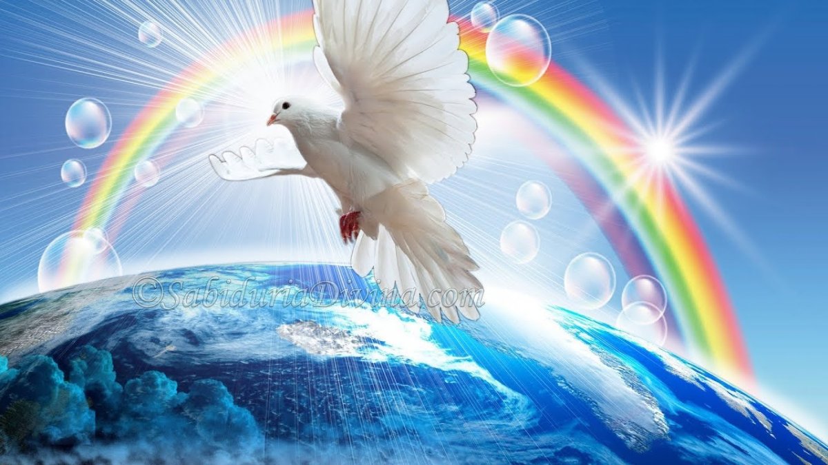 Пусть будет мир