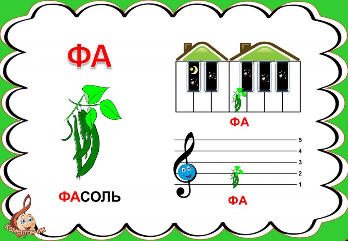 Половинные Ноты на нотном стане