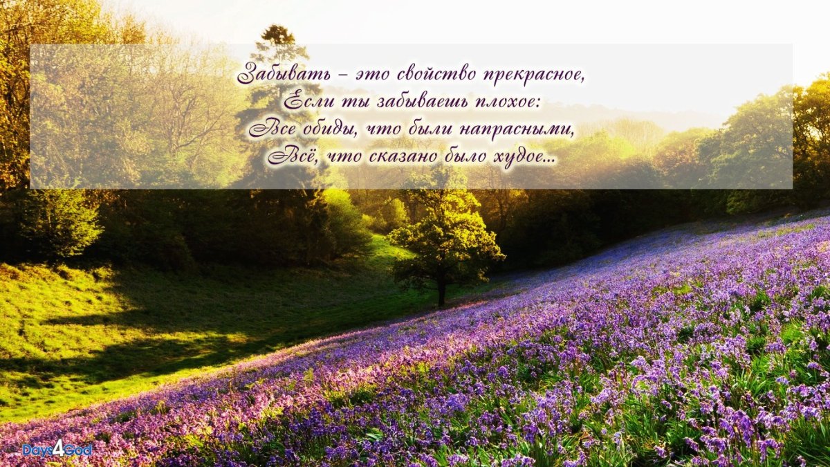 Обои стихи из Библии