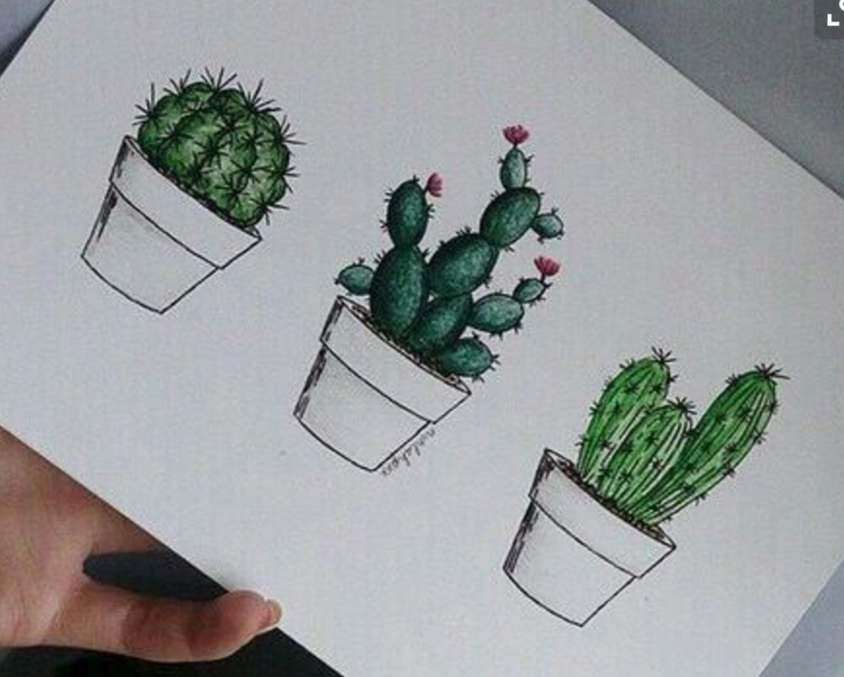 Красивые арты девушек для срисовки легко Кактус