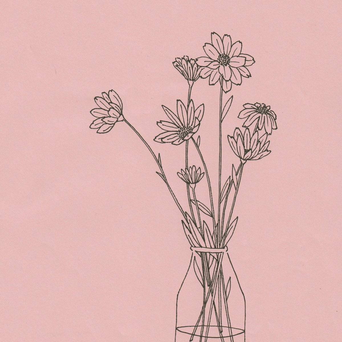 Цветы карандашом Минимализм