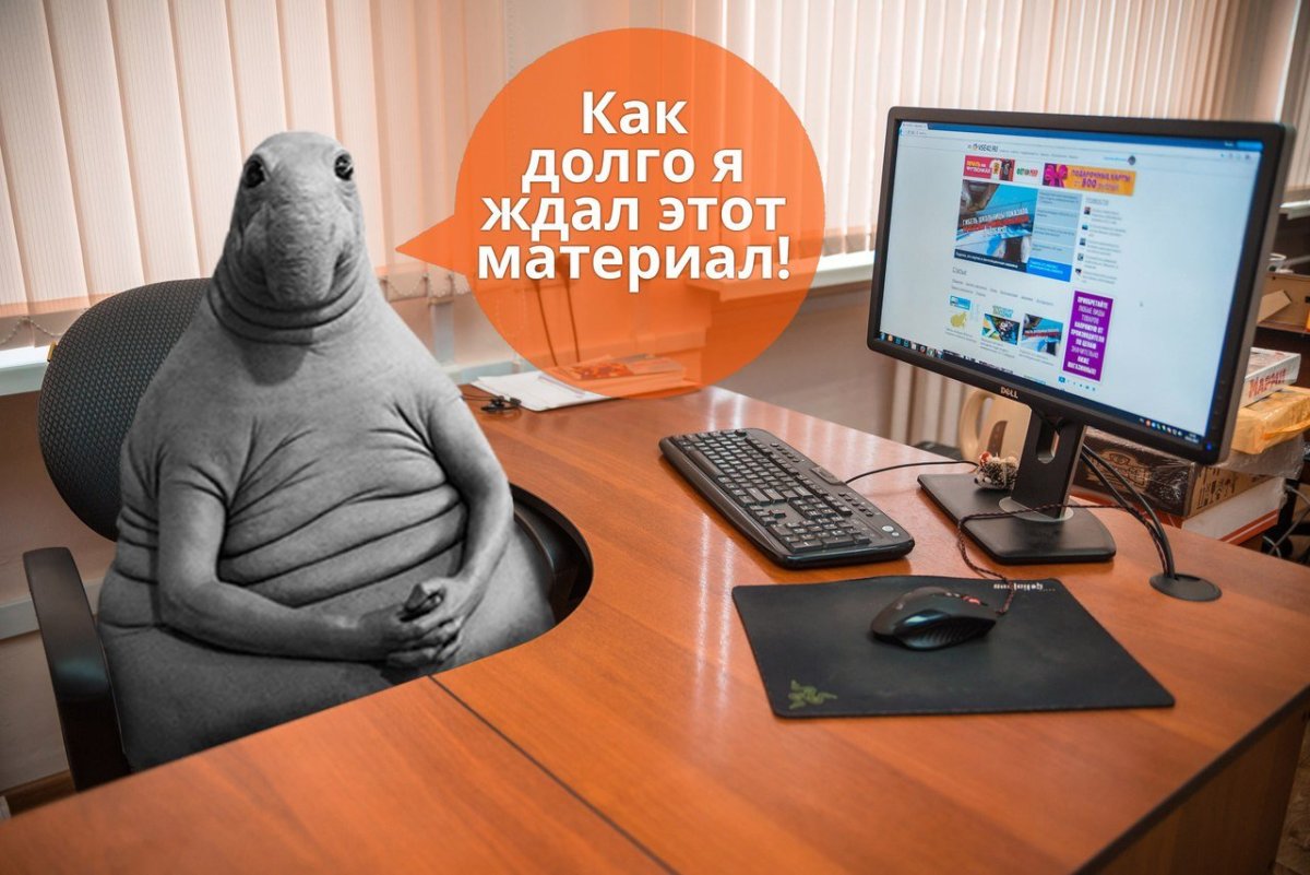 Про бухгалтера прикольные