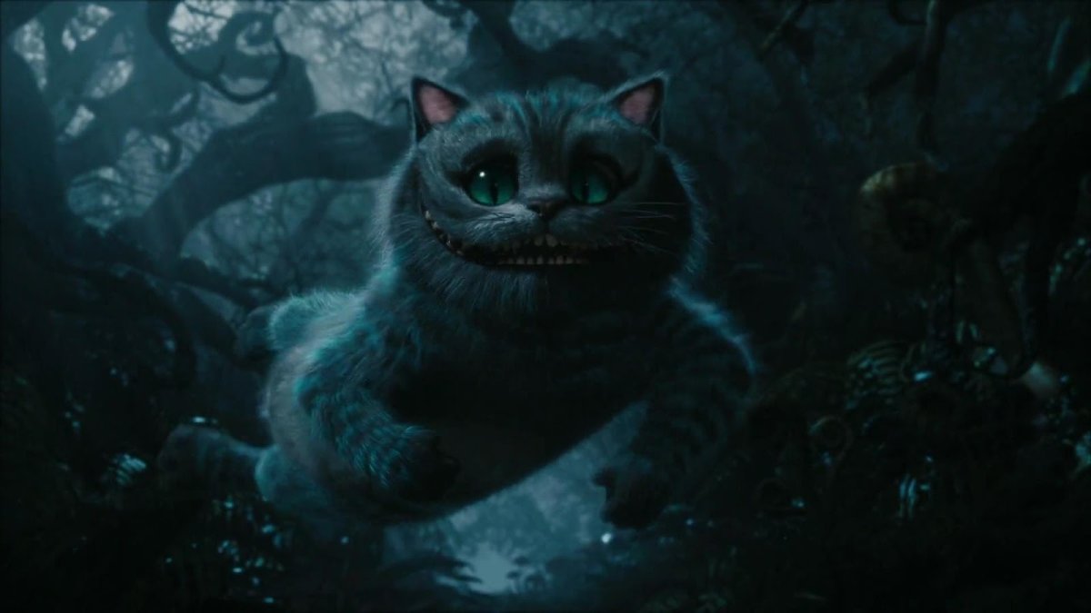 Чеширский кот порода