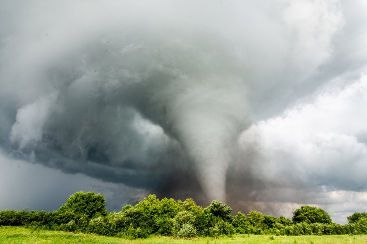 Фултондейл Торнадо