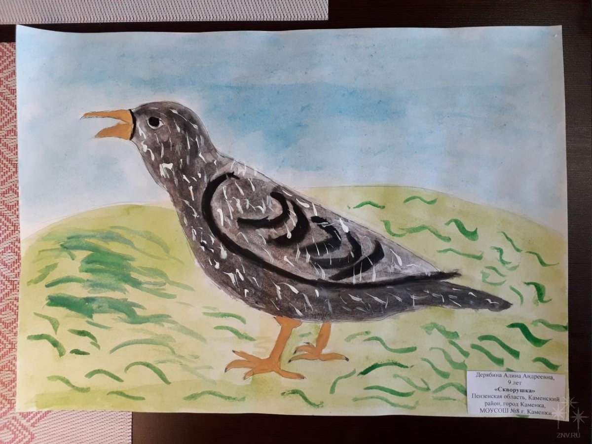 Скворушка рисунок