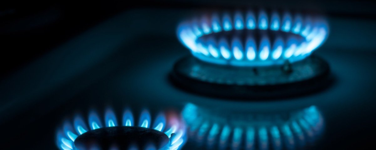 Натуральный ГАЗ