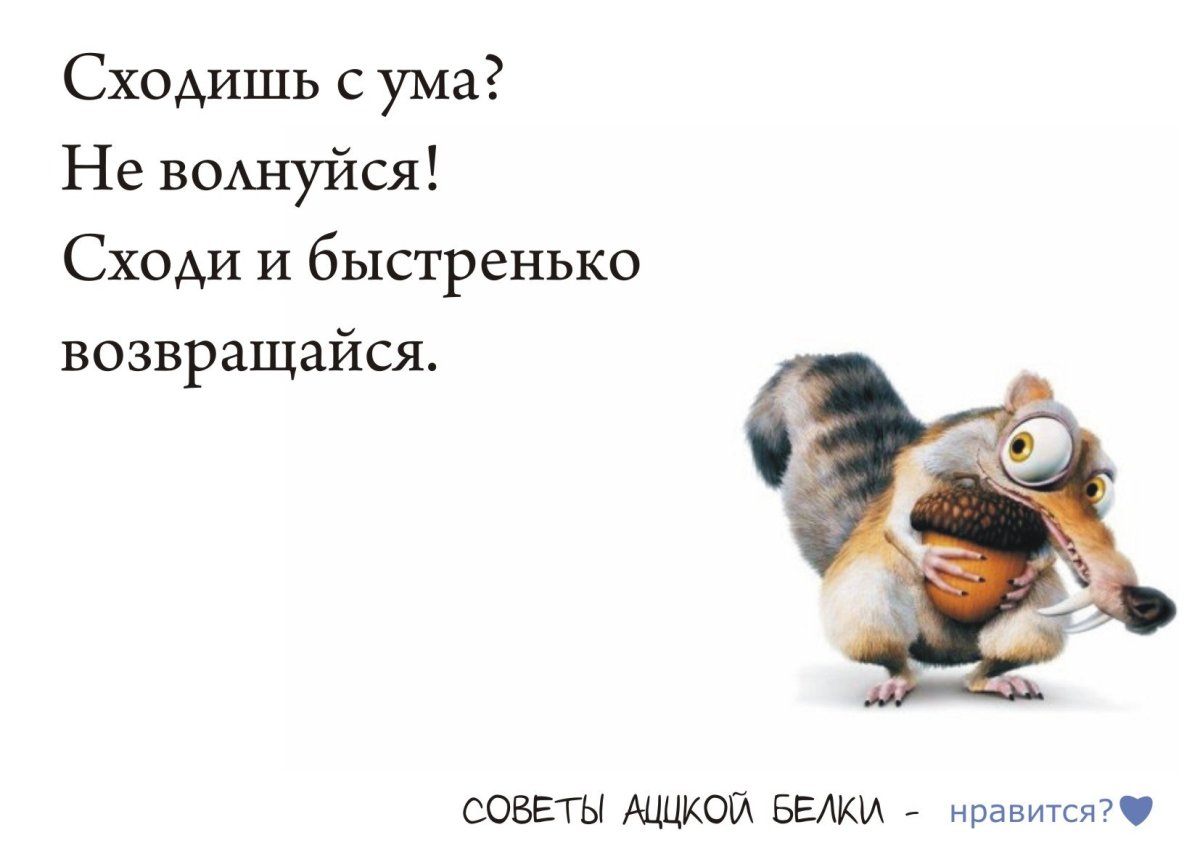 Сошедшие с ума картина