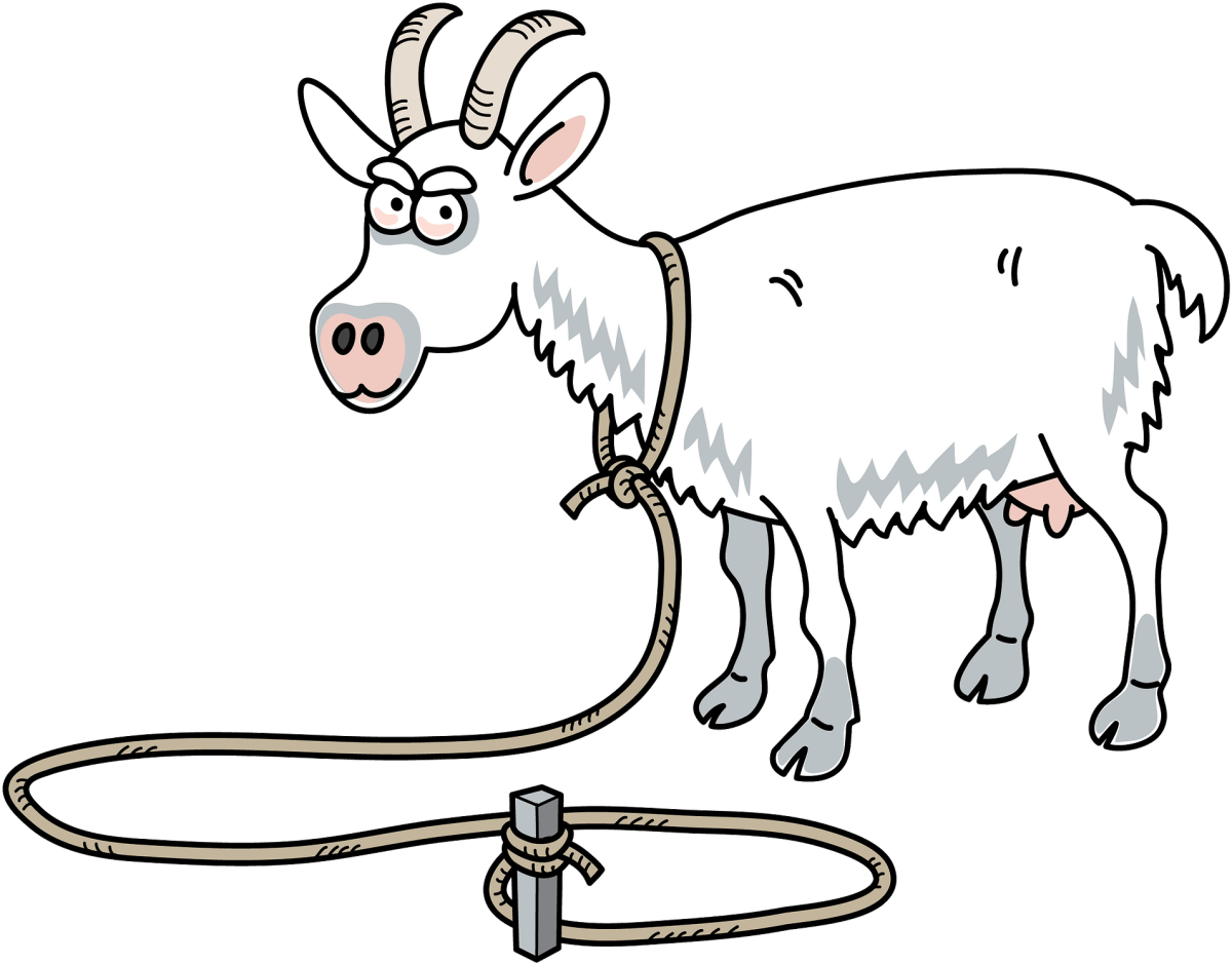 Козлик на привязи