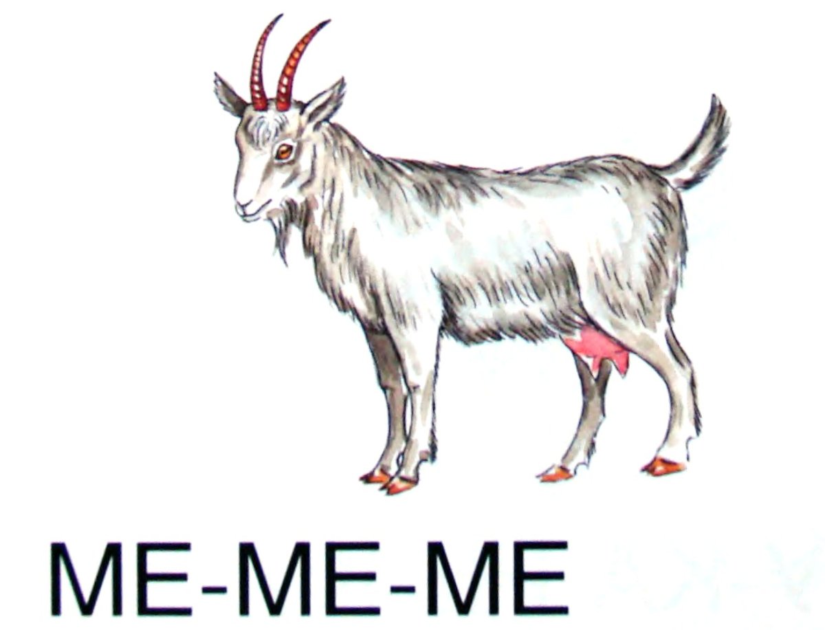 Звукоподражание животных для детей