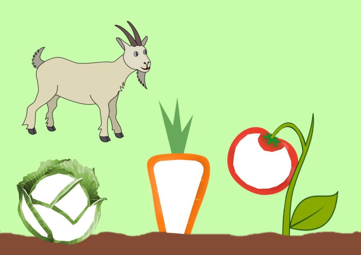 Рисование овощи на грядке