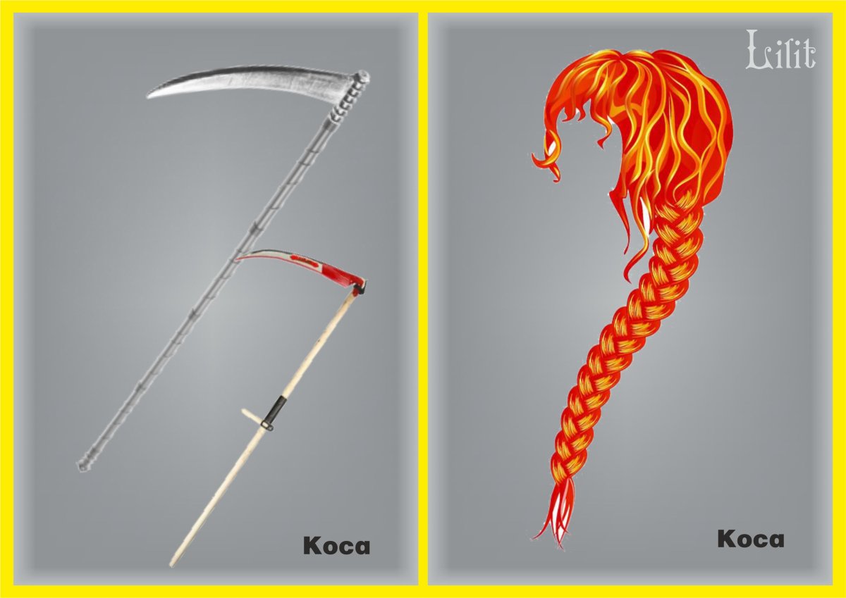 Коса и коса омонимы