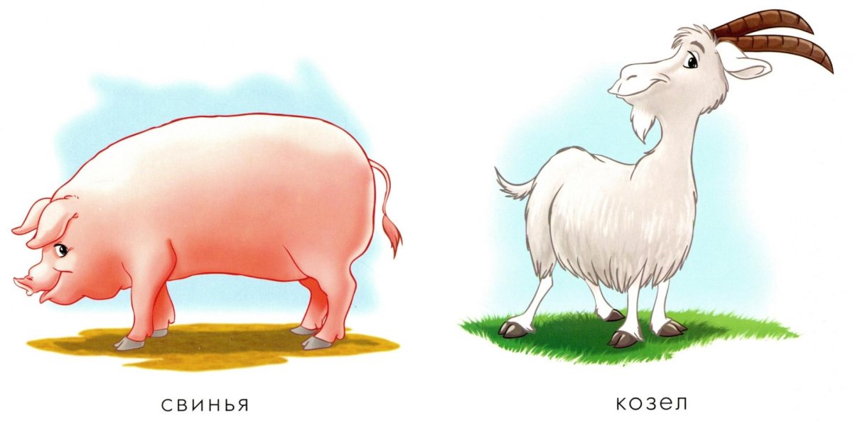 Коза для метрики