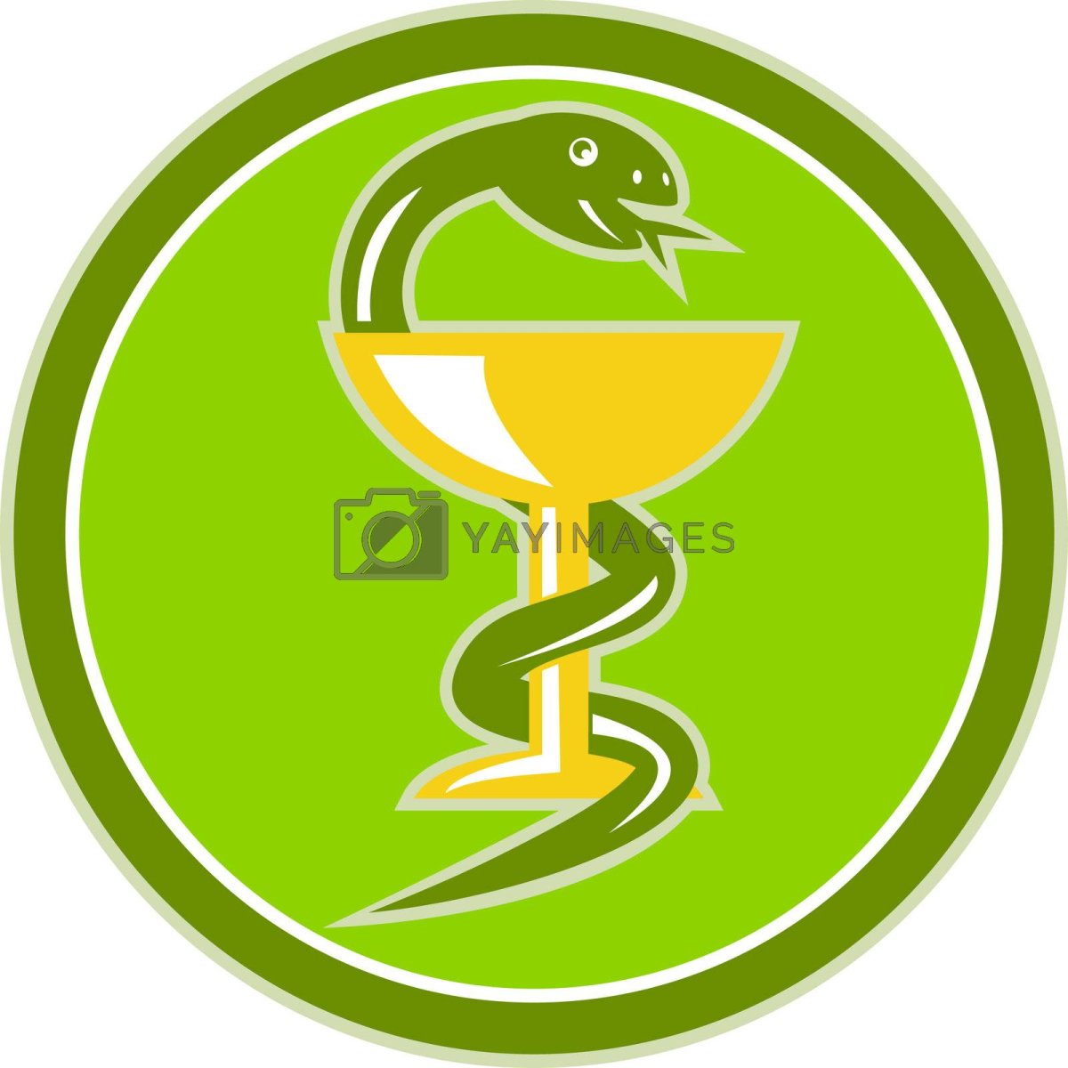 Чаша со змеей