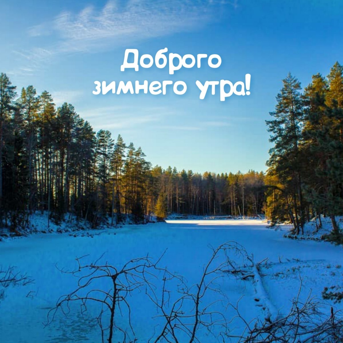 Доброе зимнее утро с мандаринами