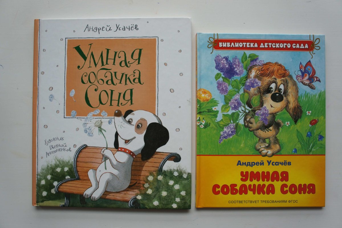 Умная собачка Соня иллюстрации к книге