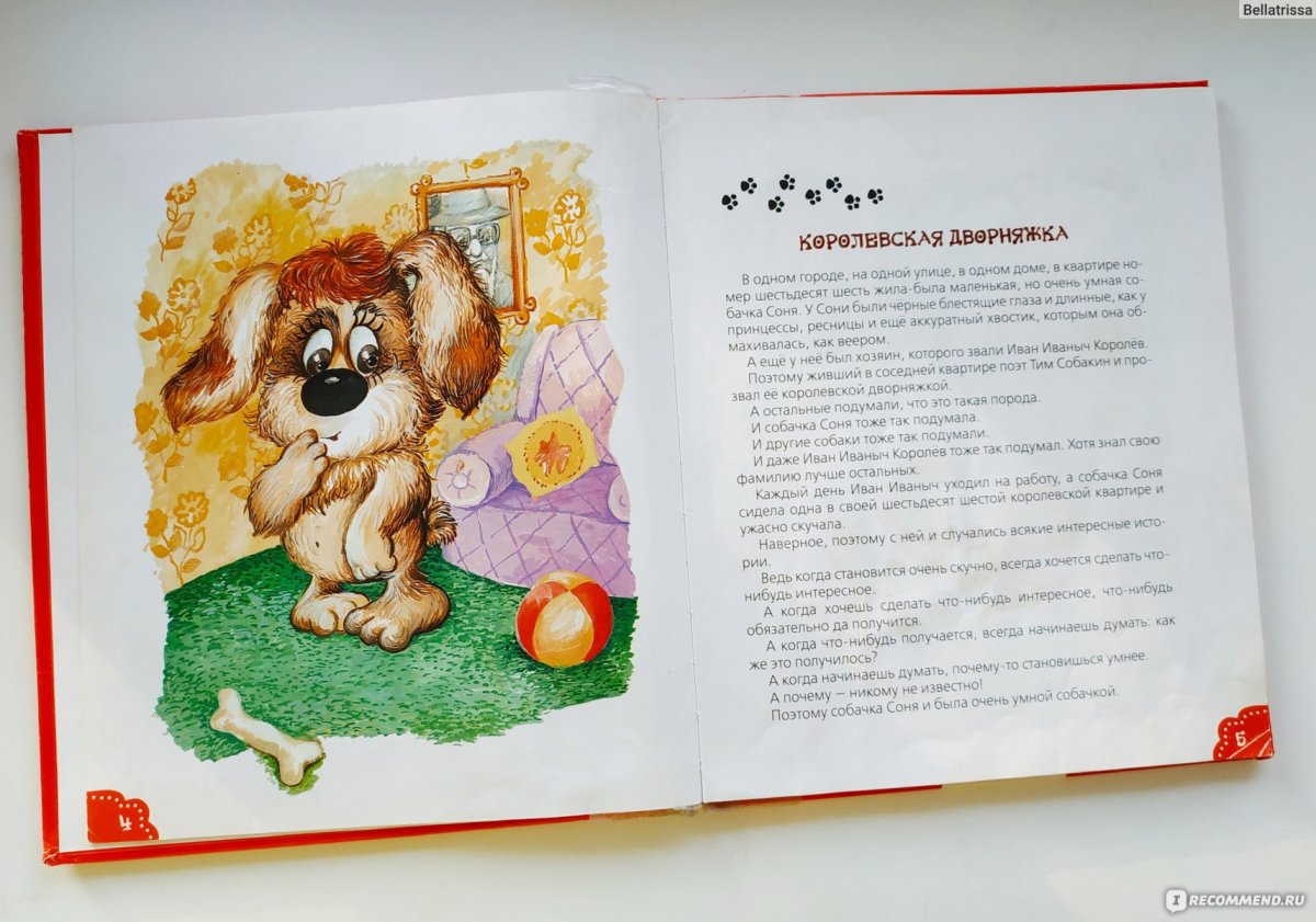 Собачка Соня