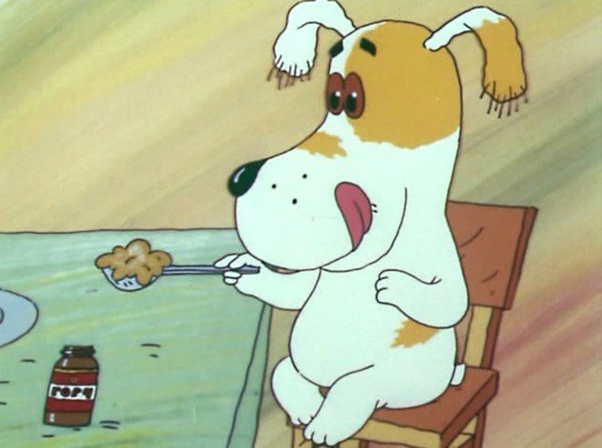 Умная собачка Соня