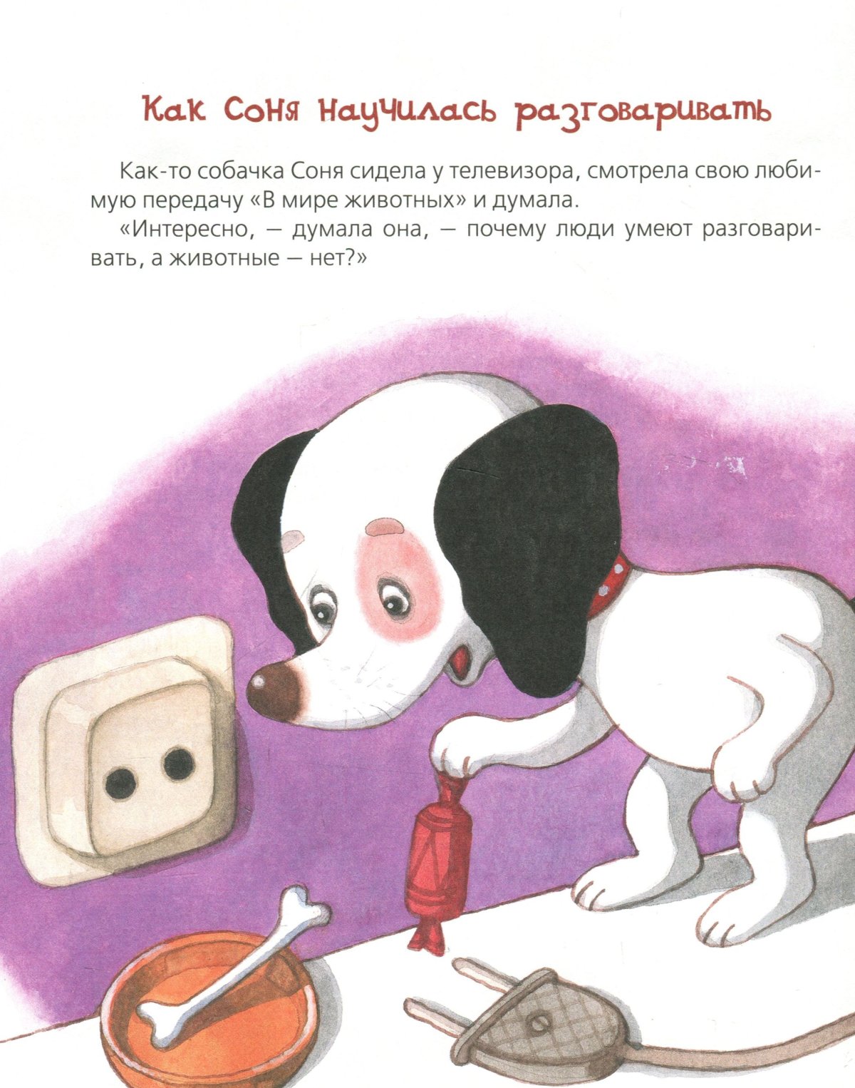 Умная собачка Соня пятно