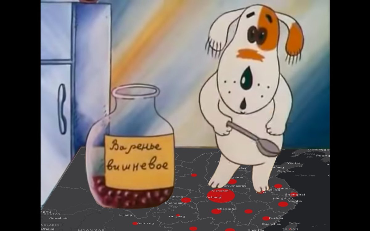 Умная собачка Соня