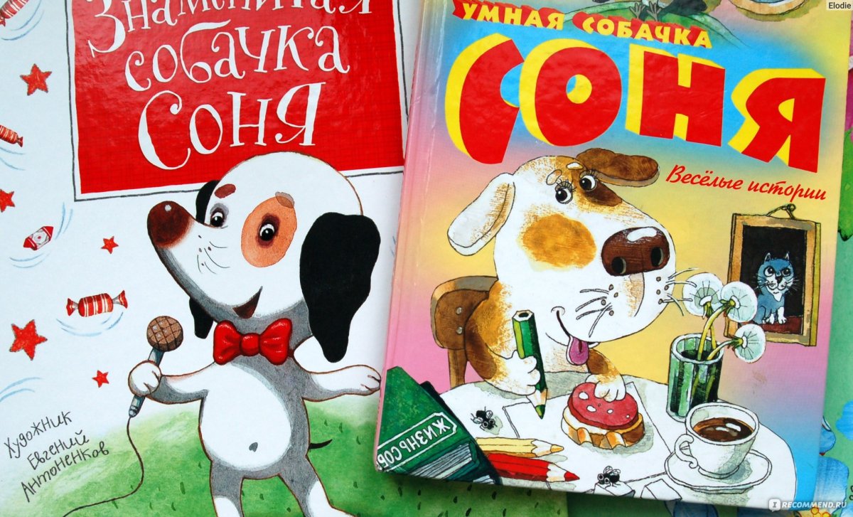 Умная собачка Соня Евгений Антоненков
