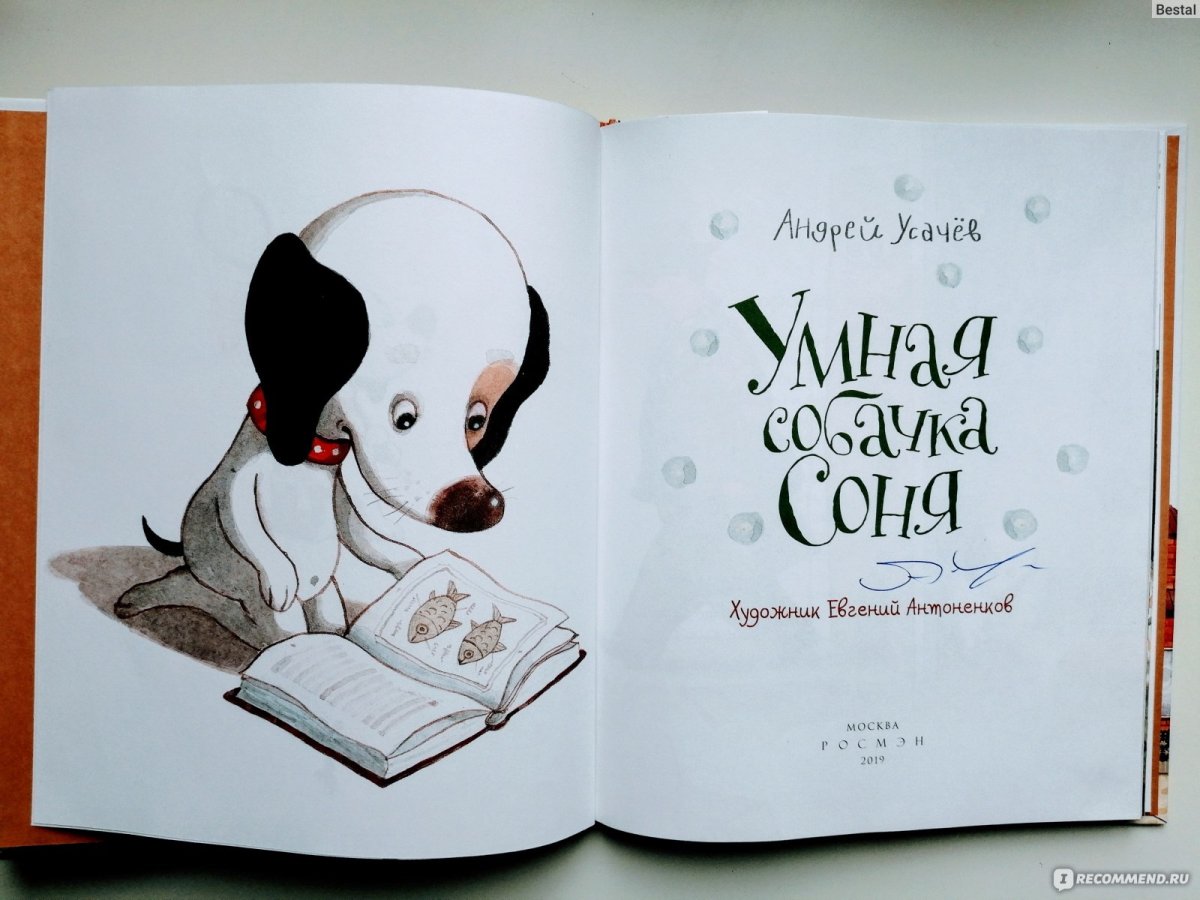 Умная собачка Соня горчица книга